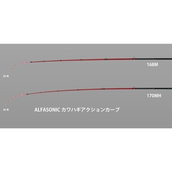 AS カワハギ